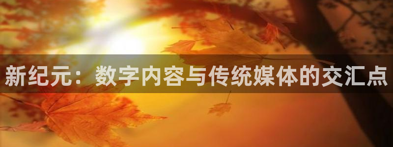 禁漫天堂?：新纪元：数字内容与传统媒体的交汇点
