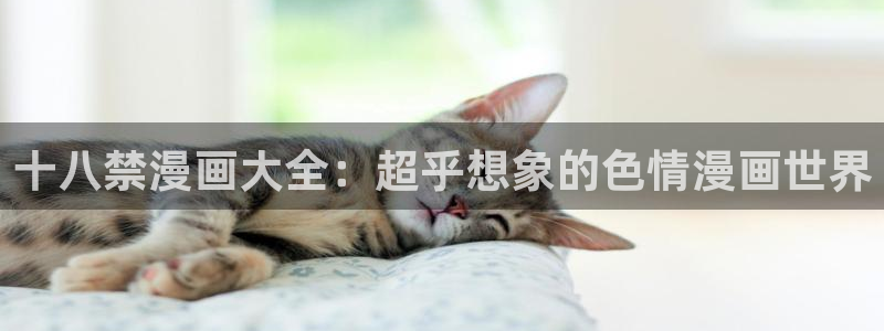 禁漫的天堂：十八禁漫画大全：超乎想象的色情漫画世界