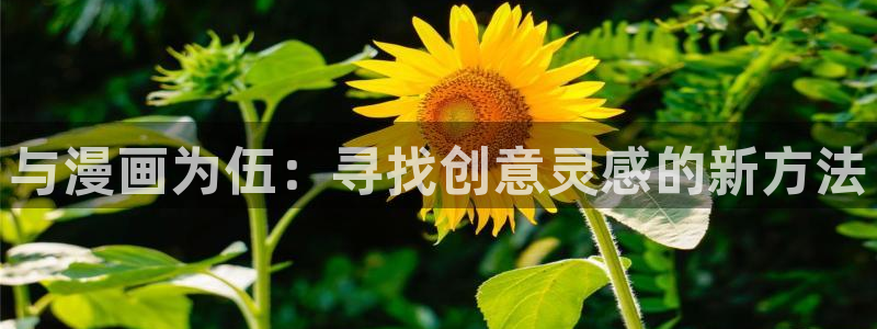 禁漫天堂a免费：与漫画为伍：寻找创意灵感的新方法