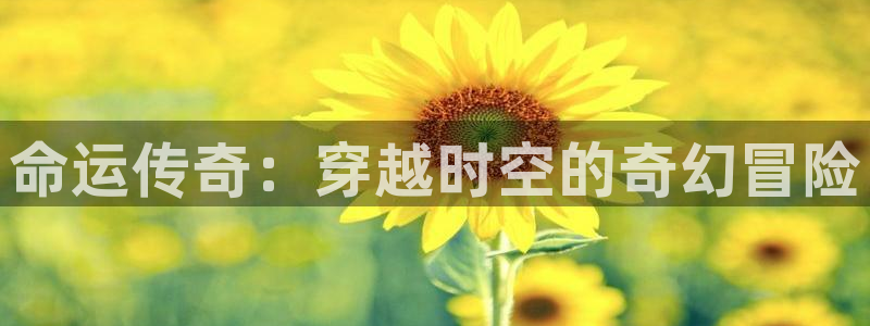 禁漫天堂怎么看：命运传奇：穿越时空的奇幻冒险