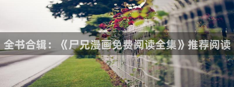 禁漫天堂h熊猫漫画网站：全书合辑：《尸兄漫画免费阅读全集》推荐阅读
