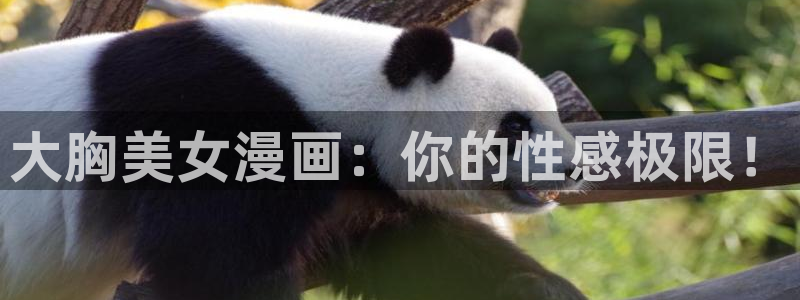 禁漫岛漫画：大胸美女漫画：你的性感极限！