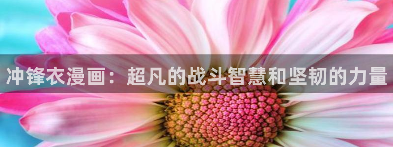 雏田被啪漫画禁漫天堂：冲锋衣漫画：超凡的战斗智慧和坚韧的力量