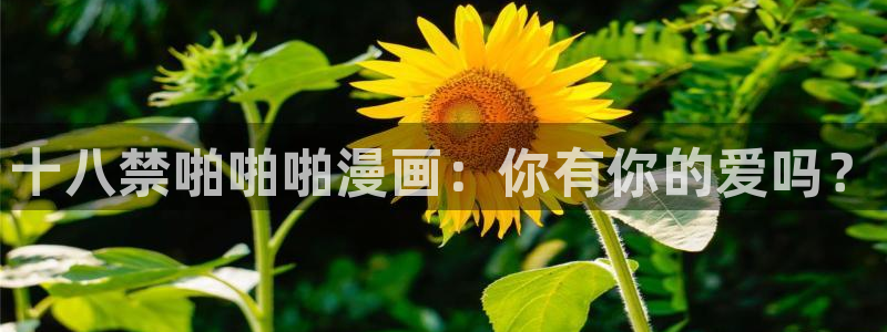 禁漫天堂官方网页