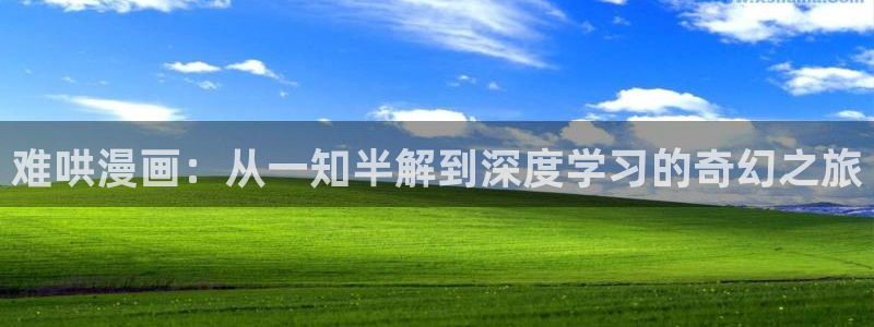 黄色禁漫在线观看：难哄漫画：从一知半解到深度学习的奇幻之旅