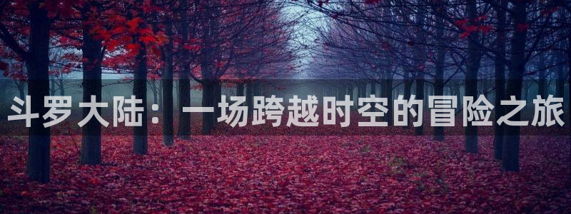 acfan禁漫天堂：斗罗大陆：一场跨越时空的冒险之旅
