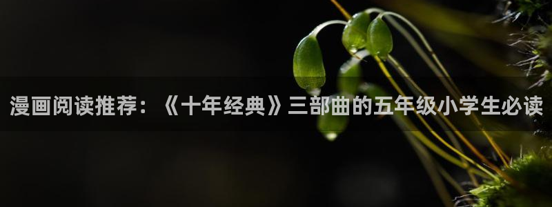 禁漫天堂网入口