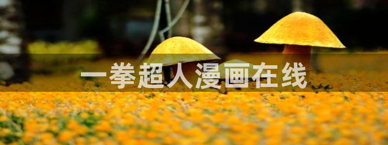 禁漫天堂下载18+