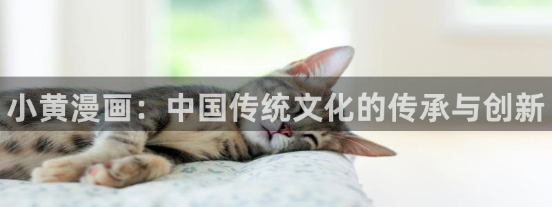 韩国十八禁漫画在线观看