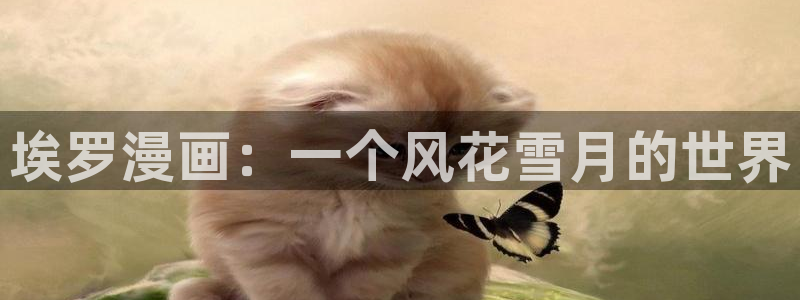 禁漫天堂直接看