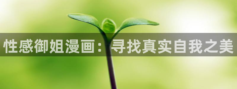 禁漫天堂网址查询