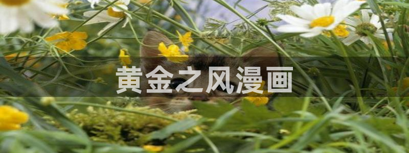 雏田被啪漫画禁漫天堂