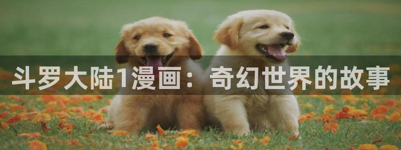禁漫天堂jm2.0