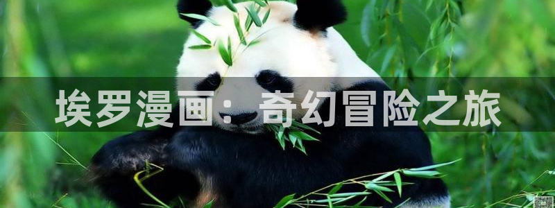 禁漫天堂so导航