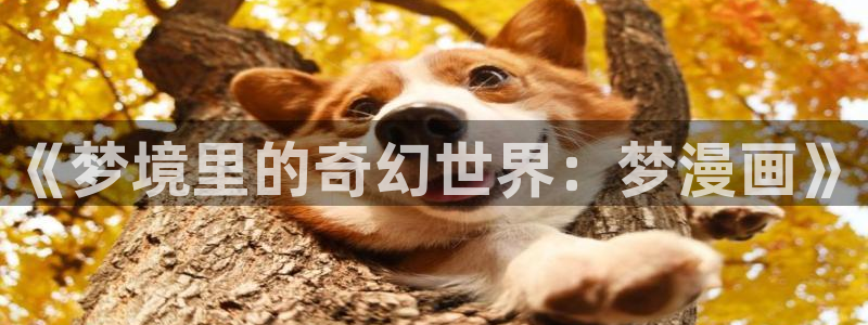 禁漫天堂官方登录入口弹窗