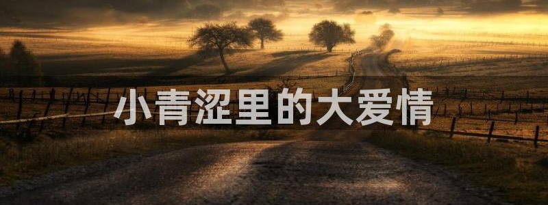 禁漫天堂需要加速器