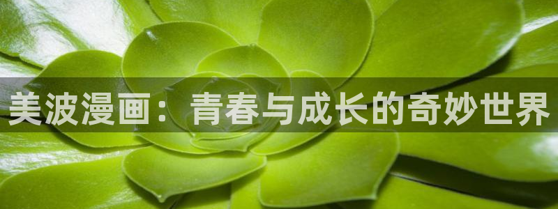 禁漫天堂要不要加速器