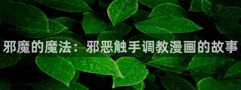 禁漫天堂1.6