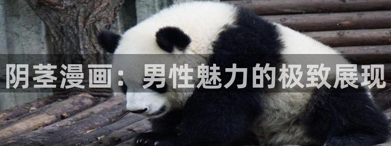 禁漫天堂-官方app