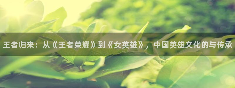 禁漫天堂收费了：王者归来：从《王者荣耀》到《女英雄》，中国英雄文化的与传承