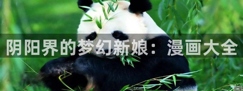 禁漫天堂软件下载